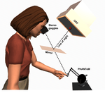 Within- and cross-modal distance information disambiguate visual size-change perception